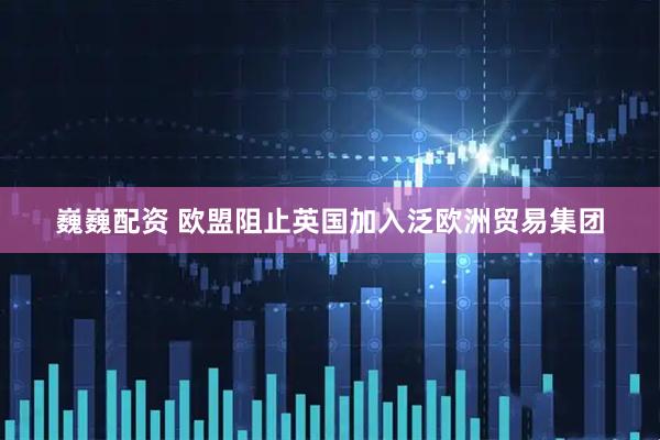 巍巍配资 欧盟阻止英国加入泛欧洲贸易集团
