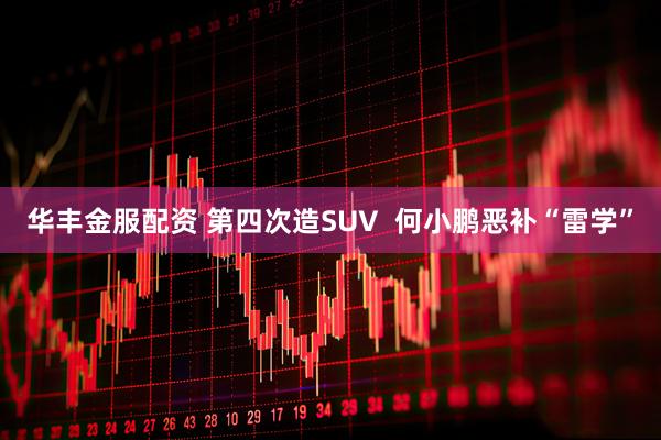 华丰金服配资 第四次造SUV  何小鹏恶补“雷学”