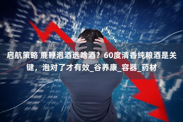 启航策略 鹿鞭泡酒选啥酒？60度清香纯粮酒是关键，泡对了才有效_谷养康_容器_药材