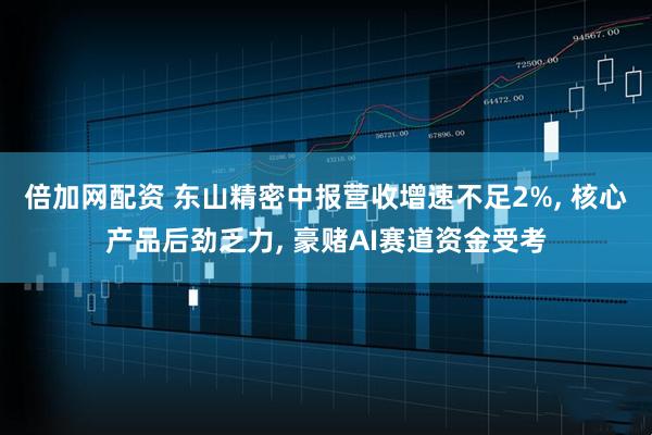 倍加网配资 东山精密中报营收增速不足2%, 核心产品后劲乏力, 豪赌AI赛道资金受考